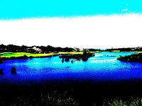 DSC00391