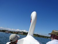 DSC00412