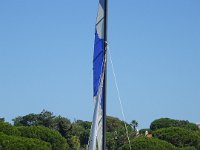 DSC00434