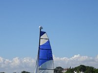 DSC00494