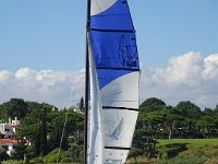 DSC00501