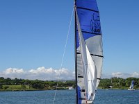 DSC00503