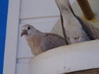 DSC00507