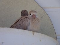 DSC00508