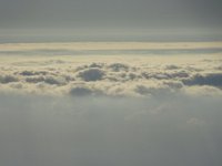 DSC00538