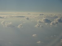 DSC00539