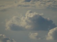 DSC00540