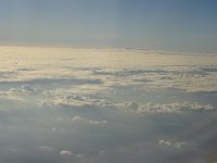DSC00554