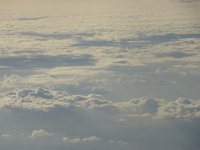 DSC00555