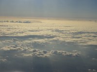 DSC00557