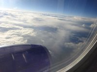 DSC00590