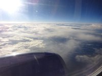 DSC00591