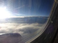DSC00617