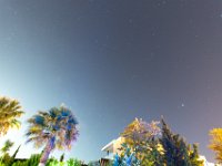 DSC 0501