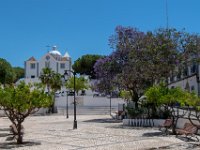 DSC 0428