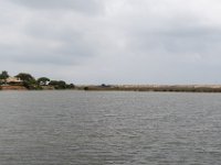 DSC 0533