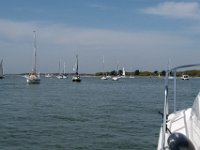 DSC 3451