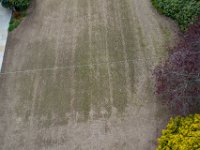 DJI 0241