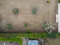 DJI 0279