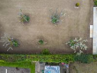 DJI 0281