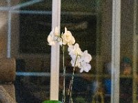 DSC 0280