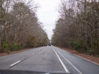 DSC 0299