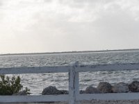 DSC 2698