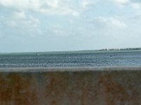 DSC 2716
