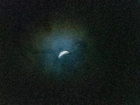 DSC 2762