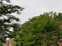 20190607 083104  JKJK0	 �¹�å�Á������È��È����������������������Ì�ý>1����4�²�ÝoÿÿÝÿÿÊÿÿ
�iªÿÿÂ��@&ÿÿþÒ�"�"�"�"�"w�1"�"w�Q3���"w�"w�	�	�"w�2w�"�"�"�"�"w�"w�	�1"���"w�"w�Q3�	�"w�2w�"�"�"�"�"w�"w��2w���"w�"w�2w�Q3�"w�"w�"�"�"�"�"w�"w�"w�"w�!"��"w�"w�2w�Q3�"w�"w�"�"�"�"�2w�"w�2w�1"�	�	�"w�"w�2w�Q3�"w�"w�"�"�"�"�"w�"w�	�"w�	�	�"w�"w�"w�	�"w�"w�"�"�"�"�2w�"w�"w�	�	�	�"w�"w�"w�	�2w�2w�"�"�"�"�!"�"w�"w�2w�"w�	�"w�"w�"w�	�2w�2w�"�"�"�"�"�"w�"w�"w�"w�	�"w�"w�"w�	�2w�2w�"�"�"�"�"�"w�"w�"w�"w�	�"w�"w�"w�	�2w�2w�"�"�"�"�"�!"�"w�"w�"w�2w�"w�"w�"w�	�2w�2w�"�"�"�"�"�!"�"w�"w�1"�A"�"w�"w�"w�	�2w�2w�"�"�"�"�"�"w�"w�1"�1"��"w�"w�"w�	�	�2w�"�"�"�"�"�"�!"�P3�P3�1"�"w�"w�"w�	�	�2w�"�"�"�"�"��"���1"�"w�"w�"w�	�	�"w�	�"�"�"�"�����1"�"w�"w�"w�	�	�"w�x!ÿá#þ2­�õ������������������������× ÿ5������������("È!"Ñ!"Ñ!"Ñx"Ñx"Ñ(#øb��8á����8�������U��������!�2x!�áx!�áC#�v#�4#�4ú�Æ ­�õ­�õ������������������������������������������������������VÐµ ������È�Á·���������������������������������������������������������������²�����������������÷��§������������������������������������������������������������������������������������������������������������FAFA��Uq�z�(���¡¡3����FAFA(�z�u�éÿçÿv���çz�z�u�éÿçÿv���çz�z�vÿ'�j�v���ç£z�z�vÿ'�j�v���ç£z�z�vÿ'�j�v���çãz�z� ���v���çÃz�z� ���v���çÃz�z� ���v���çÃz�z�Hÿ>�¶ÿv���ç³z�z�Hÿ>�¶ÿv���ç³z�z�Hÿ>�¶ÿv���ç³z�z�ÿÞ��v���ç³z�z�ÿÞ��v���ç³z�z�ÿÞ��v���ç³z�z�pþ*Ë�v���ç³}�z�pþ*Ë�v���ç³}�z�pþ*Ë�v���ç³}�z�ü×v���ç³~�z�ü×v���ç³�z�ü×v���ç³�z�öÊv���ç³�z�öÊv���ç³�z�öÊv���ç³�z�7ò2v���ç³�z�7ò2v���ç³�z�7ò2v���ç³
�z�	û¯v���ç³�z�	û¯v���ç³�z�	û¯v���ç³�z�Yý± v���ç³�z�Yý± v���ç³�z�ýìCv���ç³�z�ýìCv���ç³�z�ýìCv���ç³�z�Hruv���ç³
�z�Hruv���ç³�z�Hruv���ç³�z�0%v���ç³}�z�0%v���ç³|�z�0%v���ç³}�È��ú�Ð ����ðäÐÄFAFA���������������������������������������������������������������������������������������������������������}�_����y�ç���x�ç���y�ç���u�ç���s�ç���t�ç���t�ç���|����}�ç����é����ñ���x�ë����t�����y�ç���w�ç���u�ç���u�ç���s�ç���t�ç���s�ç���z�Ú���{�ç���~�l����,���|�õ����t� �����Ë��ó������1¡r���J��#	��Áÿÿÿ��������������������������������������������������������������������g���g��������������������¶�������������������������������������������������������·���������Ì���3�����J��w�������������� ���2���l��������������ó��q ��îîîî�������������������������������������������������������������������������������������������æ��6���������6������������_��Æ��_�� ��!��Å��&��v��Á����ý��Ú ��ê��³��1��È��~��1����æ	����K��Á��1��è��=��ý��K��º��_��D����
��������������l��ùÿÿÿ7	��J��ðÿÿÿ
���5���������������M����R��Èÿÿÿ����������������c���g�����üÿÿÿþÿÿ��������������������������������������������Ë��Ë������Ä�������2���Äÿÿÿ��������������������������!�������p��P������üÿÿÿËÿÿÿ³ÿÿÿüÿÿÿÊÿÿÿHÿÿÿ!ÿÿÿâÿÿÿ�����������������������ìÿÿÿ^ÿÿÿË��íÿÿÿ|ÿÿÿí��V������s�������������������������������������������������������������������������������5��öÿÿÿöÿÿÿ������������
���!��þÿÿÿl���������������g���l���p���o������������� ��d����������Ú�������������+��������M��������������������������������������@37�����������������������������������������������������������������������������������������������������������������������������������������������������������������������������������������������������������������������������������������������������������������������������������������������������������������ssdjag������������ssuniqueid`3