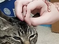 20190607 105530  JKJK0	 �¹�å�Á�����G��G���������������������ÈÚÆ����¹ø�ßª�ÑGÿÿO ��ªÌÿÿ¢Y�µÙÿÿA��ÿÿ¾Ò�af�af�qU�qU�qf�qf�qf�Q3�Q3�qU�p	�p	�p	�p	�p	�qU�af�qf�qU�qU�p	�qf�qf�Q3�Q3�qU�p	�p	�p	�p	�p	�qU�af�qf�qU�qU�p	�qf�af�Q3�Q3�qU�p	�p	�p	�p	�qU�qU�af�af�qU�qU�p	�p	�Q3�Q3�Q3�qU�p	�p	�p	�p	�qU�aU�Q3�P"�qU�qU�p	�p	�Q3�Q3�Q3�aU�qU�p	�p	�p	�qU�aU�@"�`3�p	�qU�qU�p	�Q3�Q3�Q3�Q3�qU�qU�p	�qU�qf�aU��qU�p	�qf�qf�p	�Q3�Q3�Q3�Q3�`3�qf�qf�qf�af�af�@"�p	�p	�qf�qf�qU�af�Q3�af�Q3�Q3�P"�p	�af�Q3�Q3�@"�`3�p	�qf�P"�p	�Q3�Q3�Q3�Q3�Q3�Q3�Q3�Q3�Q3�Q3�Q3�`3�p	�qU�P"�p	�Q3�Q3�af�af�af�Q3�Q3�Q3�Q3�Q3�A"�`3�p	�qU�qU�p	�A"�Q3�af�af�af�af�Q3�Q3�Q3�Q3���p	�qU�qf�qf�A"�Q3�Q3�af�af�af�af�Q3�af�qU��	�p	�p	�p	�`3�A"�Q3�Q3�Q3�P"�af�Q3�Q3�af�qf�A"��p	�p	�qU�p	�Q3�A"�Q3�Q3�Q3�af�Q3�Q3�af�qf�A"���	�	�Q3�Q3�Q3�Q3�Q3�Q3�Q3�Q3�Q3�af�qf�A"�A"�����af�Q3�Q3�Q3�Q3�Q3�Q3�Q3�Q3�af�qf�( ��ßÿI ������ÿY�������������������������|||||||�������������������������������� �z( �( �¢�® �ß�ßH�"�J �J ������������������Í�³"��m�H%Y�Y�Oê���;���G�;������¤��������������������������������������������������������£����������������÷��§������������������������������������������������������������������������������������������������������������FAFA��Uq�����¡¡3����FAFA��§ÿK�9�v���ç��§ÿK�9�v���ç��§ÿK�9�v���ç£��ßÿC�$�v���ç£��ßÿC�$�v���çã��ßÿC�$�v���çÃ��ßÿC�$�v���çÃ��	��úÿv���çÃ��	��úÿv���çÃ��	��úÿv���çÃ��	��üÿv���çÃ��	��üÿv���çÃ��	��üÿv���çÃ���5��v���çÃ���5��v���çÃ���5��v���çÃ��1�3�¬ÿv���çÃ��1�3�¬ÿv���çÃ�����������������������������������������������������������������������������������������������������������������������������������������������������������������������������������������������������������������������������������������������������������������������������������������������������������������������������������������������������������������N��ú�Ð(����ðäÐÄFAFA�������������������������������������������������������������������������������������������������������� �5� ����������ç����ç����ç��������ç����ç����ç����ç����ç����ç����Ì���Ö�����c�����ç����ç����ç����ç����ç����ç����ç����ç����ç����ç����ç�� �2� ��� �2� ����
�ç���
�ç����ç����ç����ç����ç����ç����ç����ç����ç����ç���º���� �ÿ �����ç���
�ç���
�ç����ç����ç����ç���£�ç���¢�ç���¡�ç���¢�ç������ �2� ��� �9� ����¿������ç����ç����ç����ç����ç���¤�ç���¥�ç���¦�ç���¦�ç���§�ç����ç����ç����ç����ç����ç����ç����ç����ç��������ª�ç���­�ç���ª�ç���©�ç����ç���
�ç����ç����ç����ç����ç����ç����ç����ç����ç���«�ç���º�ç���µ�[���������������������������������������������������������������������������������������������������������� �	���ç��ÿ�����������������������������������������������®®®®��è��ù��I��N�����1¡r���	��J	������������������������������������������������������������������������R���R������������������4���G�������������������������������������������������������������P���������	������	��9�������������� ��� ���(���������������N��R��îîîî���������������������������������������������������������������������������������������������®��í�����®�������������û ��m	��û ����������ûÿÿÿ���æ���@��� ��@ ��c �� ��² ��Ö	��( ��Q ��h �� ��©	��Ã	��R ��g	��&	��	��k ��t ��	��ü��Â��ù	��	��û��é��Ý	��} �� ��$ ��Þ	��h	��_	��o��â��ó��	��À	��ç	��" ��  ��o	��3��r��@	��,	��	����^����|��¸��ñ��D	��Á��v��_����ô��½����*	��º���� ����¤��Ð��Ñ��Ø��Ü�������������Y��Õÿÿÿ®	��	������������������������½	��ï ��������×ÿÿÿ:������������J���R������ÿÿÿÿÿÿÿ��������������������������������������������I��I�������������� ��êÿÿÿÕÿÿÿ����������������7 ������ô�� ������������R���Y���^���������������� ��Ú���(������Æ�����������������������������������������������������������úw�����������������������������������������������������������������������������������������������������������������������������������������������������������������������������������������������������������������������������������������������������������������������������������������������������������������sslls,HIFI�38ac6102p��Ý�Ý�I��@B�N����������������������������������������������������������������������������������������ù`¢>����[Þ9>���������� �������������ýiÀÂÀ���������������¾���¾�������`���`����������������� ��� �������`���`�������������������������������������ÂØ�ô���������������������������������ssdjag������������ssuniqueid`3