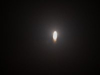 DSC 2908
