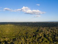 DJI 0441