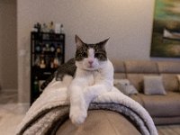 DSC 0629
