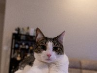 DSC 0631