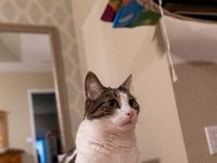 DSC 0636