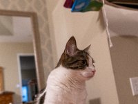 DSC 0637