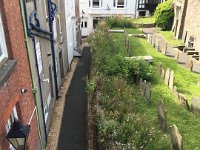 IMG 7786
