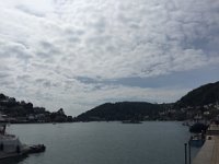 IMG 7799