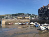 IMG 7995