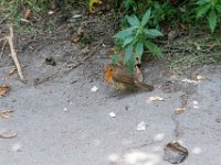 DSC 7363