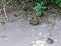 DSC 7364