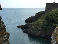 IMG 7884