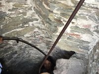 IMG 7896
