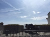 IMG 7919