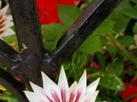 20190710 084140  JKJK0	 �¹�å�Á������ß��ß���������������������¢�ä¼����¬�¤þ�á)ÿÿz×ÿÿb§ÿÿý¿�¡ÿÿÌñÿÿÏþÿ£>�	��"w�"w�1"�	�R���	�Bw���������	�"w�"w�"w�	�Bw�qª �	�p���	�������	�!"�"w�2w�"w�"w�2w�"w��	�����@"�"w��	�"w�2w�	�"w�"w�!"��	�����0�"w�1"�	�"w�"w�2w�1"�!"�� �	�����@"�"w�2w��	�"w�A"� ��� �������!"�"w�A"�	�"w�2w� ���p���p���������0��qª �Q3��	�2w�1"����b���a	�������@"�qª �	�qª �!"�	�"w� ����b���b���������	�	�qª �Bw�	�	�����b���qª ���	�����	�	�	�qª �"w�	������������������	����	�qª �2w�	������������1"�A"� ��	�	�	�	�	�	����������1"�1"�A"�0��	�	�	�	��	�	� ��� �2w��A"�@"�@"�	�	�	�	��	�	�	�!"� ����A"�@"�@"�	�	�� �1"�	�	�!"�"w�"w����A"�@"�@"�ÝþfÓÿ¸������������������������5�YW�!������ù�â¯üªüªüªüûüûüi üÒ¦������������Ê'��Ý`�������ó�¿á�iá�iÄ�[ Ó�¸Ó�¸������������������������������������������������������������������������µ'ÐR�������ß�Jt���������������������������������������������������������������������������������÷��§������������������������������������������������������������������������������������������������������������FAFA��Uq0�Ö����¡¡3����FAFA�Ý�,�ÞÿéÿÌ���Ý�,�Þÿéÿ���ÌÝ�,�Þÿéÿv���çÖ�Ö�¸ÿêþÓÿv���ç£Õ�Ö�¸ÿêþÓÿv���ç£Ö�Ö�D�dÿøÿv���çãÖ�����������������������������������������������������������������������������������������������������������������������������������������������������������������������������������������������������������������������������������������������������������������������������������������������������������������������������������������������������������������������������������������������������������������������������������������������������������������������������������������������������������������������������������������������������������������à��ú�Ð ����ÛB½	äFAFA���������������������������������������������������������������������������������������������������������à�ç���½�ç���©�!���¹�ç���ª�ç���³�ç���´�ç���³�ç���³�ç���´�ç���¹�ç���¸�ç���«�ç���Ð�ç���Ò�ç���Â�ç���¯�ç���¥�ç���²�ç���Ã�ç���Ð�ç���²�ç���²�ç���º�ç���¶�ç���ª�ç���µ�ç���º�ç���Æ�ç���È�ç���°�ç���Ó�ç���Ô�ç���Ò�ç���Ô�ç���´�ç���º�ç���´�ç���«�ç���­�ç����ç���£�ç���Ê�ç���Ê�ç���Ö�ç���Ò�ç���Ð�ç���Ó�ç���±�ç���´�ç���³�ç���¬�ç���º�ç���¸�ç���À�-���¹�ç���Å�ç���Ô�ç���Ò�ç���Ò�����Ò�ç���²�ç���´�ç���²�ç���ª�ç���É����Ê�]���¯�ç���»�ç���Â�ç���Ô�ç���Ó�ç���Ó�ç���Ð�ç���µ�ç���¹�ç���¶�ç���¬�ç���Ð�ç���¢�ç���¥�ç���¶�ç���¼�ç���°�ç���¯�ç���±�ç���´�ç���³�ç���¶�ç���µ�ç���©�ç���������������������������������������������������������������������������������������������������������� �	��Ñ�ç��ÿ�����������������������������������������������®®®®��P	�����ª��à�����1¡r���F	��*	�������������������������������������������������������������������������d���d��������������������������������������������������������������������������������������������������������������������������3���)���2���z��������������à��P	��îîîî���������������������������������������������������������������������������������������������p��������p������������S��3��S���������æÿÿÿ������������C	��Å	��« ��º ����Á��Ò��(��ú ��à ��ë	����Ü��D��~ ��Ü ��µ	��_ ����x	��d������Ç��. ��c	��¢	��À ��.����~��°��º�� ��F ��
	��h	��§ ��ç��4����z��	�� ��ñ��Y	����²��	��ô��@ ��û �� �� ��B ��Ð��v��d��Á��û ���� ��K��B�� ��ä ��õ ��ê��v	�������������������������������������.�������������������������������������������������J���]�����µÿÿÿÿþÿÿ��������������������������������������������ª��ª��������~���������������������������������������Ô ��å	��������������������Òÿÿÿ%ÿÿÿ����¼ÿÿÿBÿÿÿàþÿÿ��������������������������t���kÿÿÿ×	��þÿÿÿÄÿÿÿd��C�������������������������������������������������������������������������������������� �������������������������������������D�������������������������������������ç1�����������������������������������������������������������������������������������������������������������������������������������������������������������������������������������������������������������������������������������������������������������������������������������������������������������������ssdjag������������ssuniqueid`3