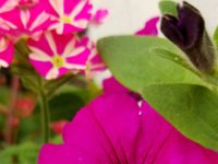 20190710 084227  JKJK0	 �¹�å�Á������L��L����������������������¾�ô0����ø�]ý�+ÿÿ×ÿÿù§ÿÿ¿�ëÿÿ,òÿÿÑþÿÇ �������ú��������Y!�Ê=!�=!�Ä"�¨T"�T"�������������������������������������������������������������������������LÐ�������L�ô����������������������������������������������������������������³�����������������÷��§������������������������������������������������������������������������������������������������������������FAFA��Uq�
���¡¡3����FAFA�v �D�%�v���ç| �D�%�v���ç

E��Öÿv���ç£

E��Öÿv���ç£

(�ÿöÿv���çã
(�ÿöÿv���çÃ

(�ÿöÿv���çÃ������������������������������������������������������������������������������������������������������������������������������������������������������������������������������������������������������������������������������������������������������������������������������������������������������������������������������������������������������������������������������������������������������������������������������������������������������������������������������������������������������������������������������������������������H��ú�Ð ����ðäÐÄFAFA���������������������������������������������������������������������������������������������������������ç���ç���uç���gç���~���ç���ç���ç���£7���V£����]����JÌ����5���fç���kç���oç���mç���ç���
ç���ç���ç���ç���!���y/���F���� ��~���������������������������������������]��1������������3���������l��ÆÿÿÿqÿÿÿMÿÿÿàÿÿÿ�����������������������0��ä���	��è���8���O����í���3��������������������������������������������������������������������������������î	������������������������������������������������������������������������������ ��d�����������������������������������8������������������������������������� �����������������������������������������������������������������������������������������������������������������������������������������������������������������������������������������������������������������������������������������������������������������������������������������������������������������ssdjag������������ssuniqueid`3