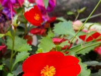 20190710 084256  JKJK0	 �¹�å�Á������8��8����������������������¥�·!����ÁÀ�Þþ�ª)ÿÿw×ÿÿE§ÿÿ'À�ÿÿÄñÿÿIÏþÿô>�� �!"� �A"�q¦�p		�!"�"w�2w�Bw�	�	�	�	�	����!"�!"�a�1"��!"�"w�!"�q¥�	�	�	�	�q¦�����!"�A"�A"�!"�"w�1"�1"�	�	�	�	�	�q¦����!"�`		�A"�!"�A"�q¥�A"�1"�	�r	�	�	�	�2w�����p		�1"�!"�	�	�	�1"�	�r	�	�	�q¦�"w�!����"w�"w�A"�	�	�	�a�	�	�	�	�	�"w�!����!"�"w�Q3�	�	�	�	�	�	�	�	�	�"w�����		�`		�"w�q¥�	�	�	�	�	�	�	�A"�q¦�"w�����		�	�2w�"w�	�r	�	�	�q¦�	�	�"w�1"�"w��		�		�	�q¦�"w�	�	�	�	�2w�	�A"�"w�"w�"w�p		�		�	�	�	�!"�	�	�	�	�A"�"w�"w�"w�"w�"w�@"�p		�		�	�p		�A"�	�	�	�	�Bw�"w�"w�"w�"w�"w� �		�P3�q¦��"w�A"�	�	�	�2w�"w�"w�"w�q¦�"w�!�	�	�1"�!"�"w�"w�!"�q¦�2w�2w�"w�"w�"w�Bw�"w�		�	�	�p		�1"�"w�2w�"w�"w�"w�"w�"w�"w�"w�"w�"w�		�	�	�		�1"�1"��"w�"w�"w�"w�"w�"w�2w�Bw�2w�A!ÿCÏ ÿB!�: ������6�r"$�ù!è�sÚ �þ�������7 Ë Ë Ë Ëí Ëí Ëd!ópp��D ��������������������0���Q!�A!�CA!�CV �6"Ñ �C!Ñ �C!ë�!�: �: ������������������÷�å%6�r"6�r" �4($�ù!$�ù!É:RÁ��������8�¬¯����������������������������������������������������������������=����������������÷��§������������������������������������������������������������������������������������������������������������FAFA��Uq0����¡¡3����FAFA�|�ÿóÿß���Ò|�ÿóÿÒ���ßG�Yÿöÿv���çG�Yÿöÿv���ç£/�þQ�v���ç£/�þQ�v���çã����������������������������������������������������������������������������������������������������������������������������������������������������������������������������������������������������������������������������������������������������������������������������������������������������������������������������������������������������������������������������������������������������������������������������������������������������������������������������������������������������������������������������������������������������������������8��ú�Ð ����îÐ£FAFA���������������������������������������������������������������������������������������������������������ç���ç���Ú�ç���Û�ç���í�ç���õ�ç���ç���%ç���7ç���$����)ç���-ç���ç����ç���¸�ç���É�ç���ä�ç���î�ç���	ç���#ç���ç���5ç���%ç���ç���/ç���2ç����ç���¯�ç���Ã�ç���î�ç���ç���,���2ç���5ç���/ç���$ç���(ç���,ç���,ç���¹�ç���Í�ç���Ä�ç���ú�ç���3ç���8ç���9ç��� ç���!ç���.ç���=ç���%ç���èç����������������������������������������������������������������������������������������������������������
�	��8ç��ÿ�����������������������������������������������®®®®��¨����� ��9�����1¡r���	��*	��ÿÿÿÿ�������������������������������������������������������������������i���i��������������������������������������������������������������������������������������������������������������������������3���)���2���Ê���������������9��¨��îîîîÂ�������������������������������������������������������������������������������������������¦���d��������d������������$��Ö��$����������Ëÿÿÿ������������B	��ª	��k	��9��­	��ñ��	��	��ë	��b���� 	��|	��ý��Ì�� ��Ë�� ��	��È��:	��	��Æ��	��ã	��!����$	��-	��	����	��Û��= ��­	����;��	��õ����	��ý��¤	��y	��´����"��c��	��Û��÷��	��	�� �� ��³��	��	��&	��Ú�� �� ������µ	��}���������������������������������������H	�����������������Y��Zÿÿÿ#ÿÿÿ��²ÿÿÿkÿÿÿ«þÿÿc�������������������������ô��ñþÿÿÚ	��à���~ÿÿÿ¿�������ö����������������������������������������������������������������������������������= ������������������������������������������������������������������������������ ��d�����������������������������������2������������������������������������ > �����������������������������������������������������������������������������������������������������������������������������������������������������������������������������������������������������������������������������������������������������������������������������������������������������������������ssdjag������������ssuniqueid`3