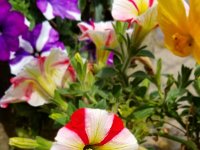 20190710 084448  JKJK0	 �¹�å�Á������9��9���������������������®�Î$ñ����(Ï�ßÿ�¾(ÿÿa×ÿÿÐ¦ÿÿÑÀ�^ÿÿwñÿÿ1ÎþÿV@��P3�b���qª �R���A"�Bw�Bw�Bw�A"�A"�2w�Bw�A"�`���P3��P3�a	�qª �a	�1"�A"�A"�Bw�2w�A"�2w�A"�qª �Q3�P3��R���R���b���Q3�A"�2w�Q3�a	�A"�1"�A"�Q3�a	�Q3�P3��qª �a	�Q3�A"�1"�2w�A"�qª �a	�A"�A"�Q3�A"�Q3�A"�`������R���Bw�Q3�2w�2w�Bw�a	�Bw�A"�Q3�Q3�Q3�@"�@"�R���p���qª �a	�A"�2w�2w�`���������Q3�Q3�Q3�A"�A"�P3�Bw�������2w�2w�2w�qª ����	�`���Q3�Q3�P3�P3�P3�@"�!"�1"�1"�p���`���2w�p���qª �b������Q3�Q3�P3�@"�Q3�A"�2w�	��p���R���2w�`���R���a	�	�Q3�Q3�P3��Q3�	�������Bw�2w�	�	�a	�p���p���Q3�@"���	�p������	�	�qª �Bw�qª ����	�������A"�P3��A"�	����	�	�	�p���A"�2w�p���	�p���p���Q3�A"�A"�	�	�	�	�������p���Bw�1"�2w�������`���Q3�Q3�	�	�	�	�	�����p���a	�`���2w�1"�A"�Q3�Q3�P3�2w�	�	��������������p���Bw�Bw�2w�2w�A"�A"�A"�2w�	�	����1"�	�	����p���p���Bw�2w�2w�Bw�A"�2w�2w�	�	�ÿÚ©ÿs!¿ÿµ ������������������M�  �]������S�[¶þ¹þ¹þ¹þþþxþ��������������������Ð4���������K�Ú�Úi�]#ª�t!ª�t!�!¿�µ ¿�µ ������������������������������������������������������Ú¢ÐÆ�������9�òß���������������������������������������������������������������������������������÷��§������������������������������������������������������������������������������������������������������������FAFA��Uq0�í����¡¡3����FAFA�î����ß���Òî����Ò���ßî�Z��Ûÿv���çí�í�Z��Ûÿv���ç£í�í�Z��Ûÿv���ç£í�í�V�9ÿ¶ÿv���çãí�����������������������������������������������������������������������������������������������������������������������������������������������������������������������������������������������������������������������������������������������������������������������������������������������������������������������������������������������������������������������������������������������������������������������������������������������������������������������������������������������������������������������������������������������������������������9��ú�Ð ����îÐ£FAFA���������������������������������������������������������������������������������������������������������ç�ç���Û�ç���ù�ç���Ì�ç���Ã�ç���Ä�ç���È�ç���Î�ç���Õ�ç���Ù�ç���Û�ç���Ý�ç���ç�ç���æ�ç���æ�ç���Ð�ç���È�ç��É�ç��Ç�ç��Þ�ç��à�ç��×�ç��ß�ç��Þ�ç���ß�ç���å�ç���ß�ç���Ý�ç���Ê�ç���Ð�ç���Í�ç��Þ�ç��ì�ç��ê����×�ç��Ú�ç��à�ç���ß�ç���ã�ç���Ë�ç���½�ç���Ê�ç���½�ç���è�ç��ñ�ç��í�ç��ï�ç��í�ç��Ü�ç��à�ç���ß�ç���ä�ç���®�ç���¶�ç���Â�ç���Í�ç���Ó�ç��í�ç��ò�ç��ñ�ç��Ü�ç��Ë�ç��ß�ç���à�ç���×�ç���¹�ç���·�ç���²�ç���É�ç���Î�ç���ß�ç��å�ç��Ý�ç��½�ç��ª�ç��°�ç���»�o���¯����·�ç���´�ç���¸�ç���»�ç���Ë�ç���Ï�ç���Ñ�ç���¥�ç���§�ç���«�ç���¯�¤���¯����º�e����������������������������������������������������������������������������������������������������������� �	��î�ç��ÿ�����������������������������������������������®®®®��ª ����� ��:������1¡r���[	��!	��ÿÿÿÿ�������������������������������������������������������������������b���b���������������������½ ��������������������������������������������������������������e���&���~���©	�����©	��Ó����������3���)���2���T��������������:��ª ��îîîî|����������������������������������������������������������������������������������������������,��������,������������9����9��W�������ïÿÿÿ���ô���(���.��	��O	����������ô ��Ë	��t	��	��f	��o����	�� �� �� ��6	��ú��ì	��}��ç�� �� ��´ ��Á ��à��¤����®	��
��Ù��È ��æ	�� ��(	��ê����ß��"	��¼��=	��³	�� �� ������h	��¬��ä��Õ ��ø	��F	��8��k��ù	��Í	��k�� ��o	��â��Ø��g��t��2��ø	��b	��k�����������������a��åÿÿÿª	��©	������R���F���������������ø	��Ü ��	����������������������A���V��ÿÿÿÿÿÿÿ�ÿÿÿ�������������������������������������������� �� ������ ��~���������óÿÿÿ������������������������K ��2 ���������Á�����K���ºÿÿÿ³ÿÿÿ���ÛÿÿÿLÿÿÿGÿÿÿ÷ÿÿÿ�������������������à������|ÿÿÿ, ��,���Àÿÿÿ«��h���`���P�����������������������������������������������������������������������������~���ô ��çÿÿÿÛÿÿÿ����������������A ������	�� �������������@���a������������������� ��d����%��&���·����������������������9�������������������������������������«�����������������������������������������������������������������������������������������������������������������������������������������������������������������������������������������������������������������������������������������������������������������������������������������������������������������ssdjag������������ssuniqueid`3