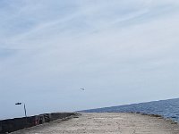 20190710 095519  JKJK0	 �¹�å�Á������Þ	��Þ	���������������������£÷û����ØÎ�ðº�#hÿÿíÜÿÿ@ÆÿÿP�p¨ÿÿr��¨ÿÿæÞ�"�"�"�"�"�"�"����������"�"�"�"�"�"�"����������"�"�"�"�"�"�"����������"�"�"�"�"�"�"����������"�"�"�"�"�"������������"�"�"�"�"�"������������"�"�"�"�"�"������������"�"�"�"�"�"������������"�"�"�"�"�"������������"�"�"�"�"�"������������"�"�"�"�"�"�"����������"�"�"�"�"�"�"�������@"����"�"�"�"�"�"�����������"�"�"�"�"�"�����������"�"�"�"�"�"�����������"�"�"�"�"�"����������í$î Ö�������������������������������������í������kþÊhÿòhÿòhÿò¹ÿò¹ÿò¹ÿòòé�ÌÈO����Ì�������������������ü�wê�!ê�!#�ôë �Óë �Ó������������������������������������������������������������������������þÿÐO������Þ	�T& ���������������������������������������������������������������������������������÷��§������������������������������������������������������������������������������������������������������������FAFA��Uq�����¡¡3����FAFA��$�üÿõÿv���ç�������������������������������������������������������������������������������������������������������������������������������������������������������������������������������������������������������������������������������������������������������������������������������������������������������������������������������������������������������������������������������������������������������������������������������������������������������������������������������������������������������������������������������������������������������������������������������������������������������������������������������������������������Û	��ú�Ð ����ðäÐÄFAFA���������������������������������������������������������������������������������������������������������
�C�����6���|�����z�����w�ç���t�ç���|�ç����ç����ç����ç����ç����ç����ç���{�Ã����}����u� ���{�����z�����v�ç����ç����ç����ç����ç����ç����ç����ç�������w�¹���w�Ñ���{�����}�����z�ç����ç����ç����ç����ç����ç����ç����ç���}�ä���u�Z���x�«���~�����x�����|�ç����ç����ç����ç����ç����ç����ç����ç���~�Z���y�è���u�w���p�����w�����y�ç���~�ç����ç����ç����ç����ç����ç����ç����a���}����y�U���t�W��������x�ç���|�ç����ç����ç����ç����ç����ç����ç����Í����}�t����}����{����������x�ç���|�ç����ç����ç����ç����ç����ç����ç���������������������������������������������������������������������������������������������������������� �	���ç��ÿ�����������������������������������������������®®®®�������à��Ú	�����1¡r���¥	��!	��;����������������������������������������������������������������������>���>���������������������Þ��������������������������������������������������������������h���*���n���¢	������¥	��#�������������� ���2���ð��������������Ú	����îîîîU������������������������������������������������������������������������������������������������������������������� ��	�� ����������������ÿ������z	��	��f	��/	��Q ��. ��	��	��	��N	��R	��K	��N ��- ��ª	��	��¢	��7	��A	��A	��o ��J ��* ��±	��	��²	��B	��F	��4	��-	��f ��G ��$ ��®	��w	��£	��T	��U	��;	��5	��D �� ��	��t	��s	��S	��P	��/	��@ �� ��s	��l	��V	��Z	��E	��7	�� �� ��f	��N	��k	��T	��;	��5	��v	��	��m	��	��Ð��X	��s�����������B��Çÿÿÿµ	��¥	������������������������ö	��Ç ��#	����������Ç ���������$���;���>��ÿÿÿÿ-ÿÿÿÿÿÿÿ��������������������������������������������à��à������4���������;���èÿÿÿ������������������������_	��z	�������E�����4���üÿÿÿ ���÷ÿÿÿÓÿÿÿÓÿÿÿ4���óÿÿÿ������������������������� ���üÿÿÿ	��÷ÿÿÿ���¤	��$���#���Ë���������������������������������������������������������������������������������o ��ÿÿÿ¥ÿÿÿ����������������a ������ �������������>���B���E���������������� ������/��������������������������������������������������������������������vU����������������������������������������������������������������������������������������������������������������������������������������������������������������������������������������������������������������������������������������������������������������������������������������������������������������sslls,HIFI�38ac6102p��8�8�à��@B�Ú	���������������������������������������������������������������������������������������������ãÄ@¹Ä@��������ú� �Úû�������������ýiÀÂÀ��������������� ��� �������`���`�����������������¾���¾�������`���`�������������������������������������2� P�¼���������������������������������ssdjag������������ssuniqueid`3